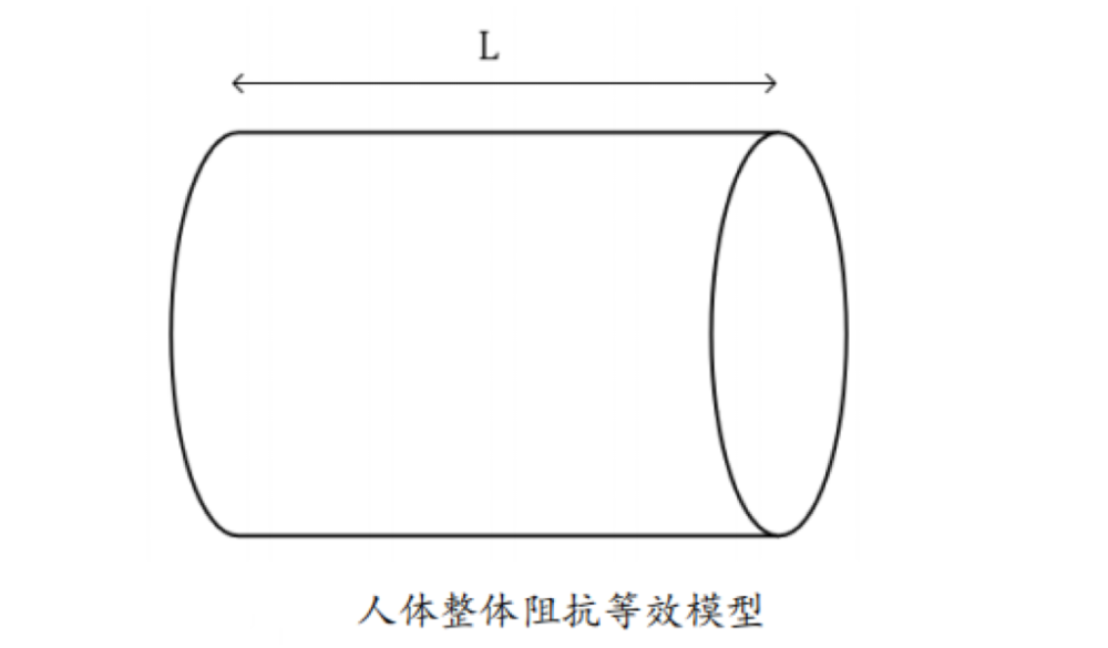 体脂的？数据准确吗？一起来了解瓦力娱乐棋牌体脂秤是怎么测出