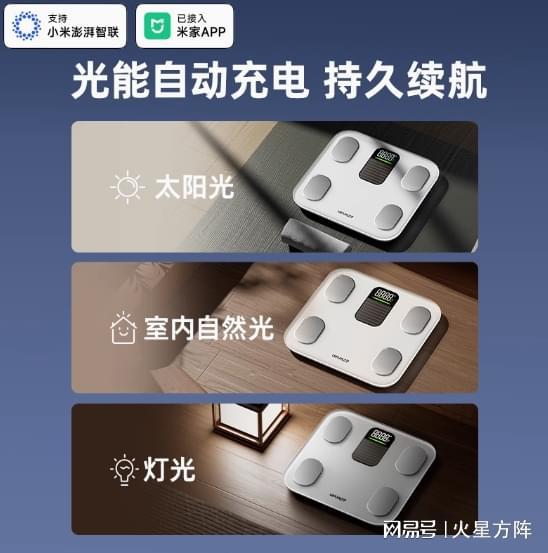 被“隐形冠军”反超瓦力棋牌小米华为(图2)